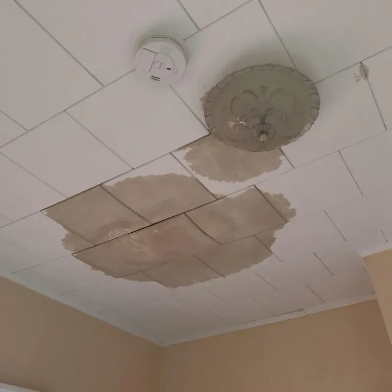 Ceiling Water Damage Repair in Garfield County, OK