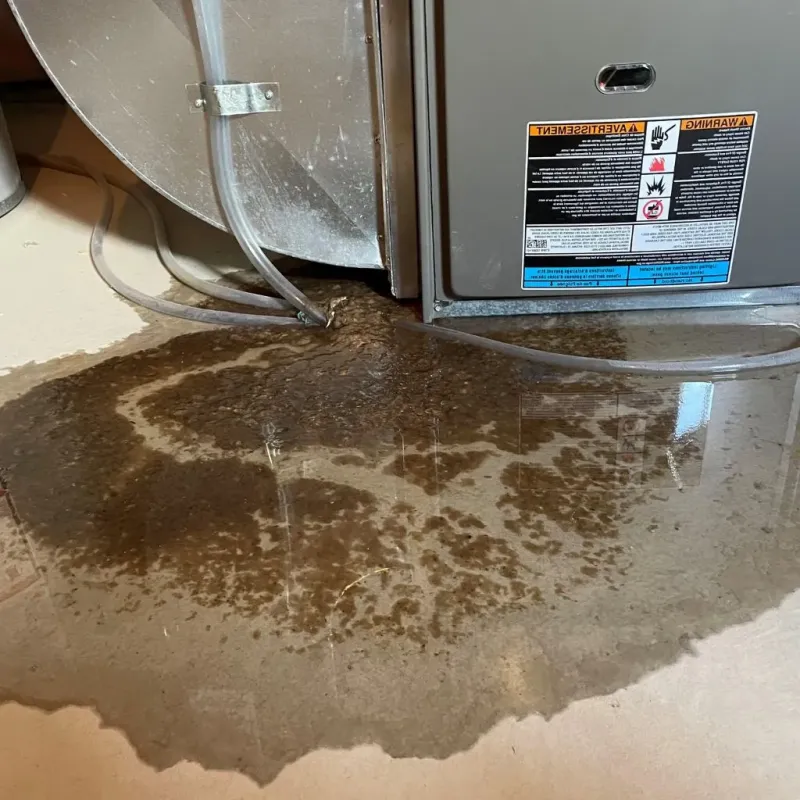 Pipe Burst and Leak Restoration in Garfield County, OK